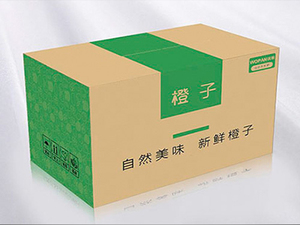 未标题-9.jpg